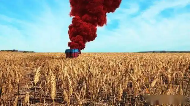 深入剖析PUBG黑号卡盟：非法交易风险与黑号来源全解析